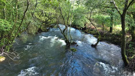 carballeira municipal de baio área de senderismo con río que fluye en la coruna, españa
