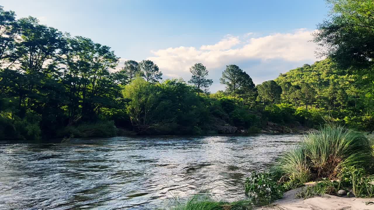 serenidad de montaña: suave flujo del río en el paisaje forestal