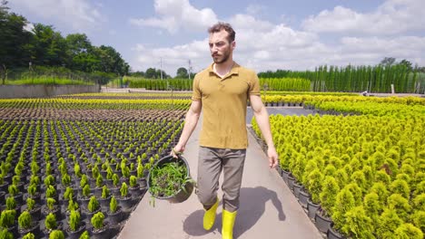 Greenhouse-cultivation-with-modern-technology.