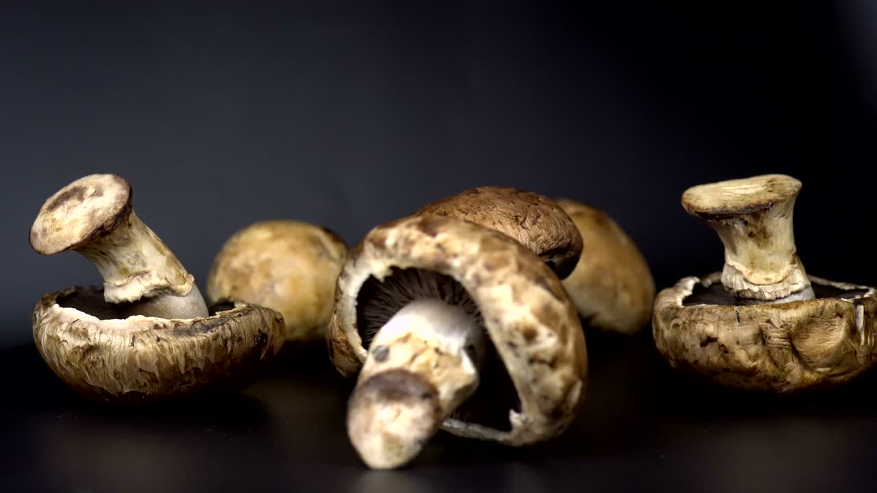 setas marrones que se vuelven