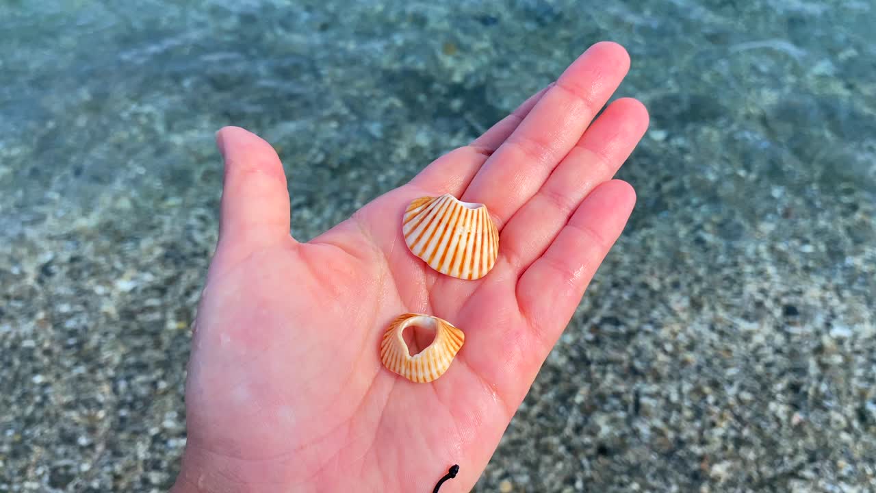 두 개의 오렌지색 색 바다 조개를 손에 들고, 이 있는 바가, 마닐바, 스페인의 르키즈색 물, 여름 날, 4k 정적