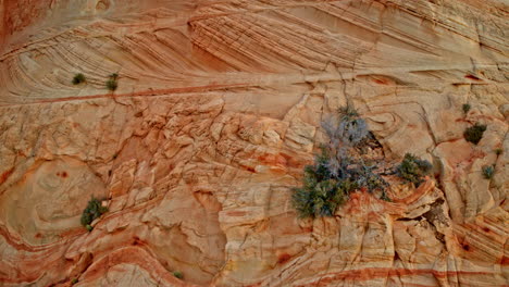 drone view sweeping across intriguing rock shapes in the towering red canyon wall.
