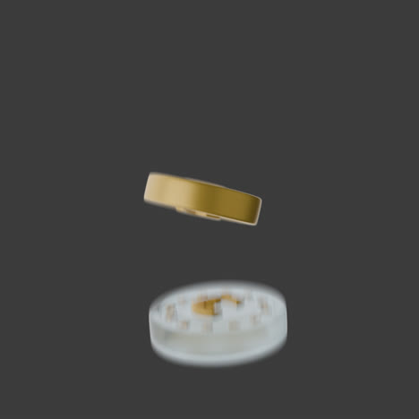 Euro and Bitcoin Coin Animation