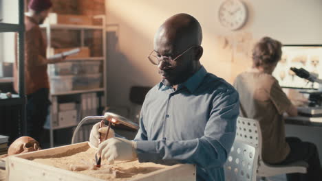 archaeologist cleaning bones while working with colleagues in laboratory
