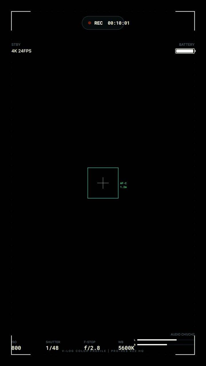 Digital Camera Recording Interface Overlay