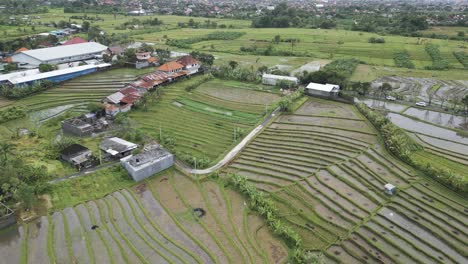 Luftaufnahme-Mit-Hoher-Übersicht-über-Die-Reisfelder-Von-Canggu,-Bali,-Indonesien
