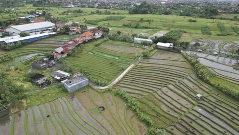 High-overview-aerial-shot-of-Canggu-rice-paddy-fields,-Bali,-Indonesia