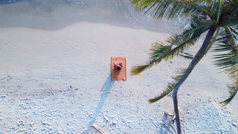 1 millón de dólares vista aérea vuelo drone metraje yoga mujer palmera seacret sueño paraíso playa koh kood puesta de sol tailandia, día 2022