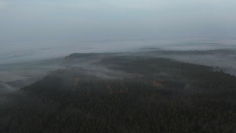 Volando-Sobre-El-Bosque-Brumoso-En-La-Fría-Mañana-De-Otoño,-Vista-Aérea-De-Drones