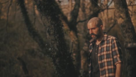Man walks in golden forest in Portugal, stops to marvel at nature. Sun creates beautiful backlight and warm mood. Relaxing and serene footage