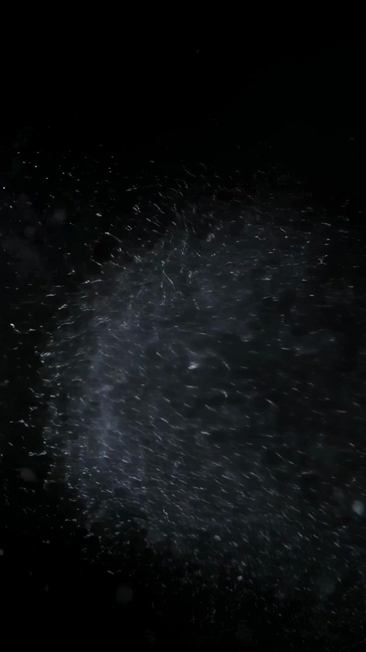 Video verticale: Nuvola di polvere sottile che vortica in uno studio buio dopo un soffio fuori campo, particelle in controluce