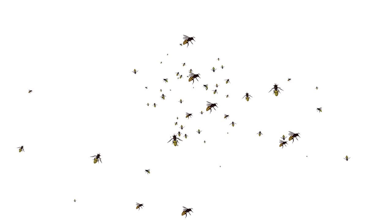 ミツバチとスズメバチの群れが飛ぶグリーンバック3Dアニメーション。昆虫のループ背景