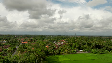 rice fields and luxury houses in bali, indonesia