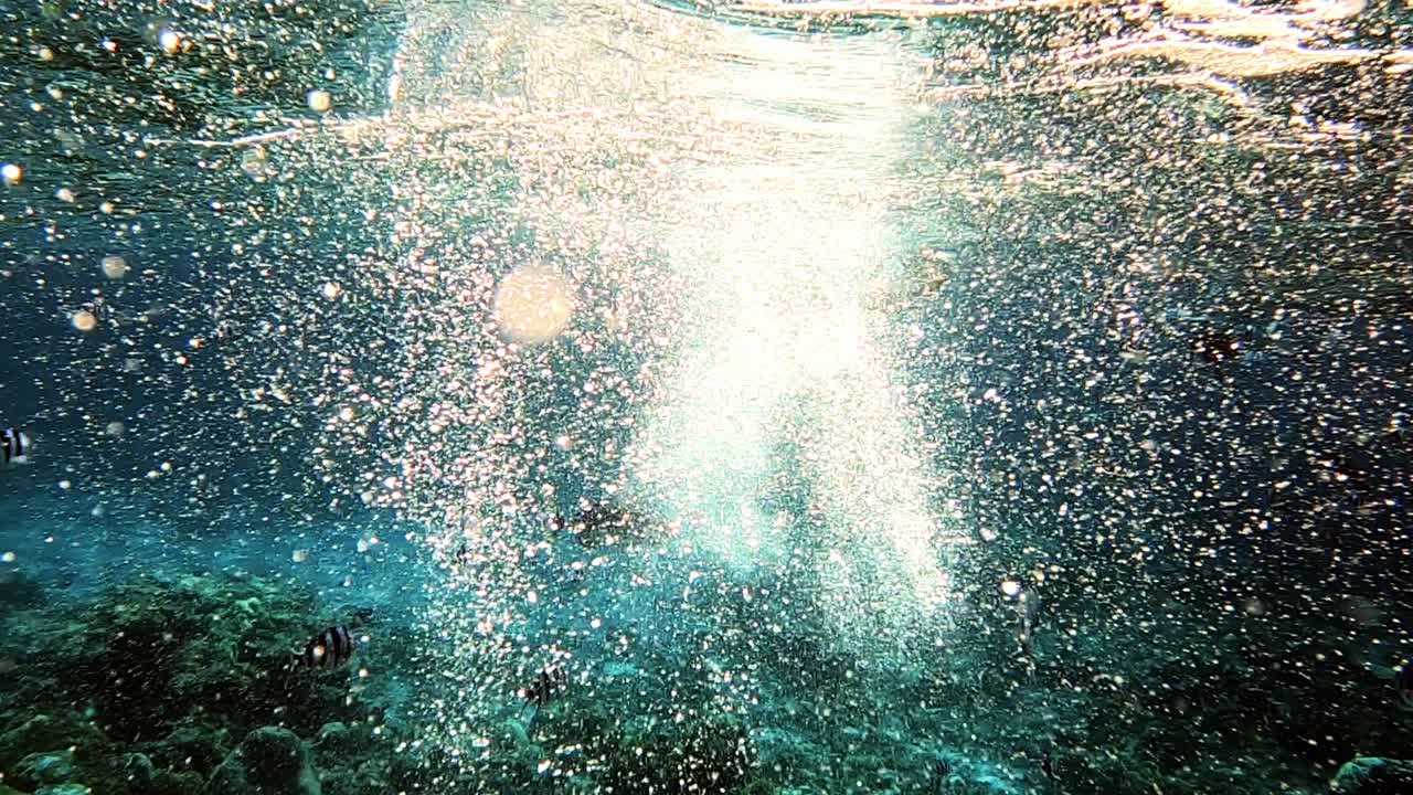 수컷 스노클링은 수중 물보라와 거품으로 해저로 잠수합니다 - 클로즈업 샷