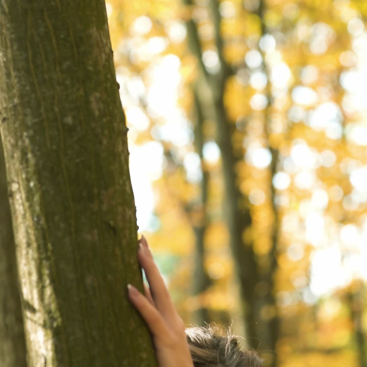 belleza romántica chica al aire libre disfrutando de la naturaleza