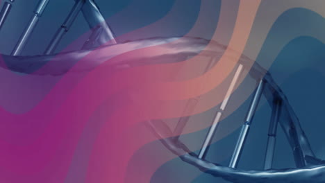 cadena de adn con ondas de colores en el fondo, creando una animación vibrante