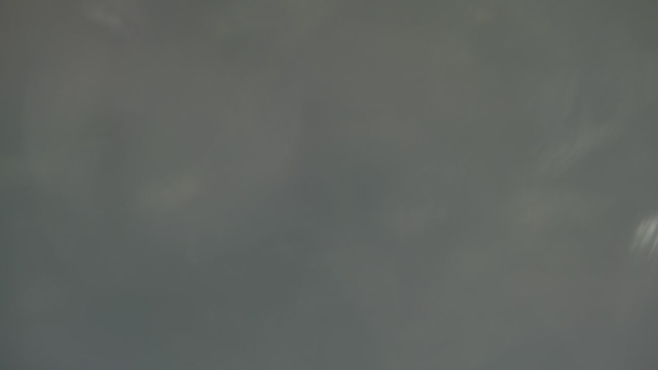 fondo de naturaleza borroso