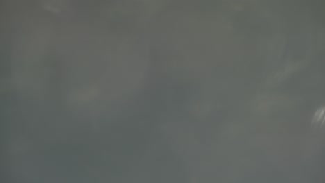 fondo de la naturaleza borroso