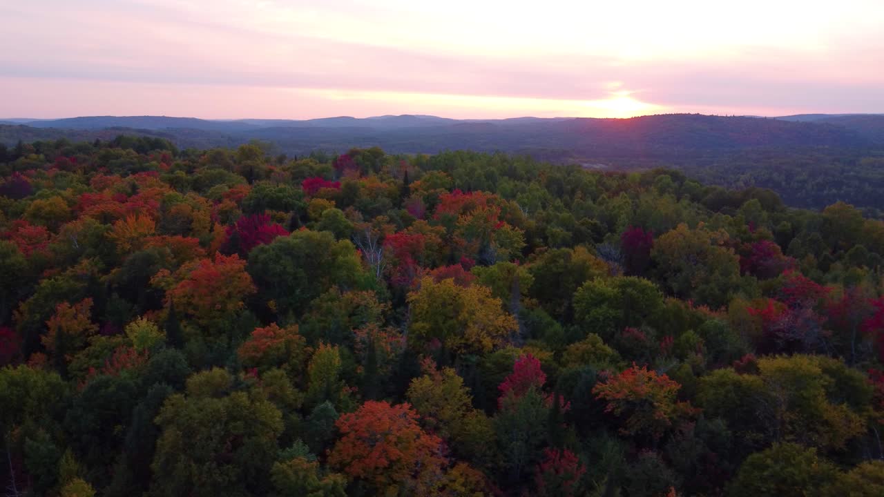 Sunset Fall Foliage Drone Shot Above the Treeline in La V&eacute;rendrye Wildlife Reserve, Ontario, Canada