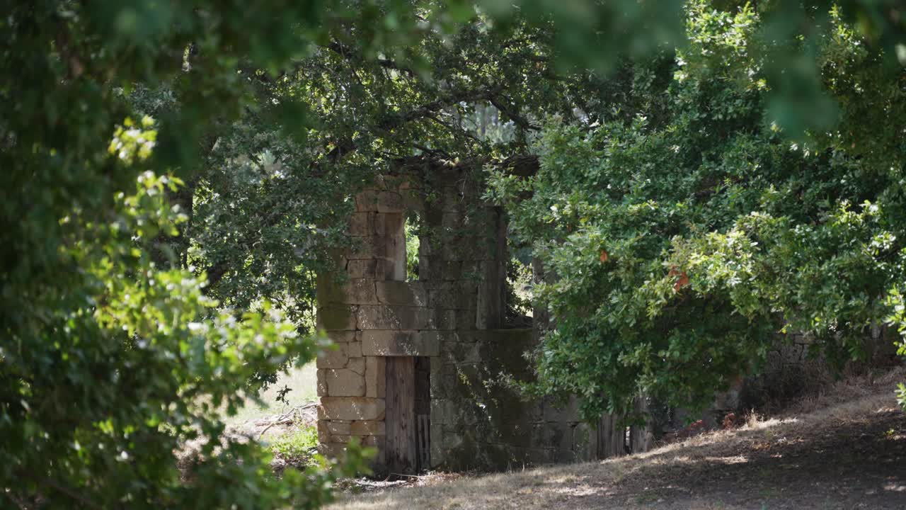 ancient stone structure surrounded by dense green foliage in Portugal