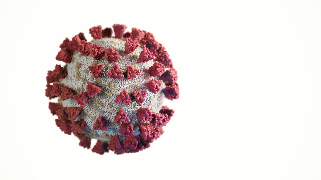 estructura del virus del coronavirus (covid-19)