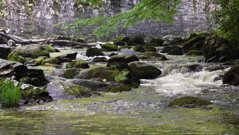 agua sutil que se eleva por las piedras del río en las montañas humeantes en tennessee