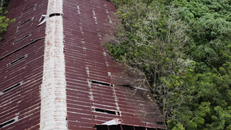 mother nature reclaiming an old rusty and long-forgotten warehouse in puerto rico