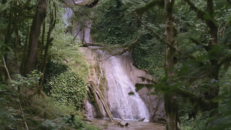 forest waterfall