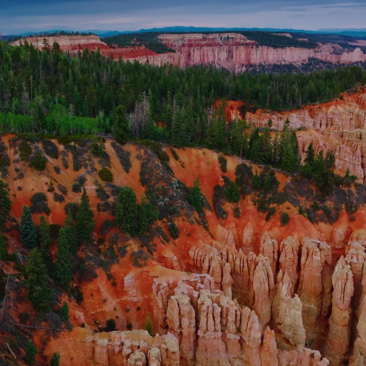 Breath-taking scenery of National Bryce Canyon Park in Utah, United States. Orange rocks and green pine trees from aerial view