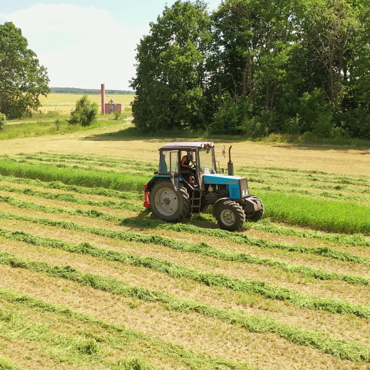 Tractor cuts green grass in the countryside. Agricultural process in the grass land near green trees. Tractor machine for cutting grass for livestock on the field in summer day.