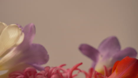 las flores de colores giran lentamente