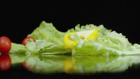 ingredients of vegetarian salad fall down in slow motion. spring onions parsley and dill. fresh juicy herbs for cooking.