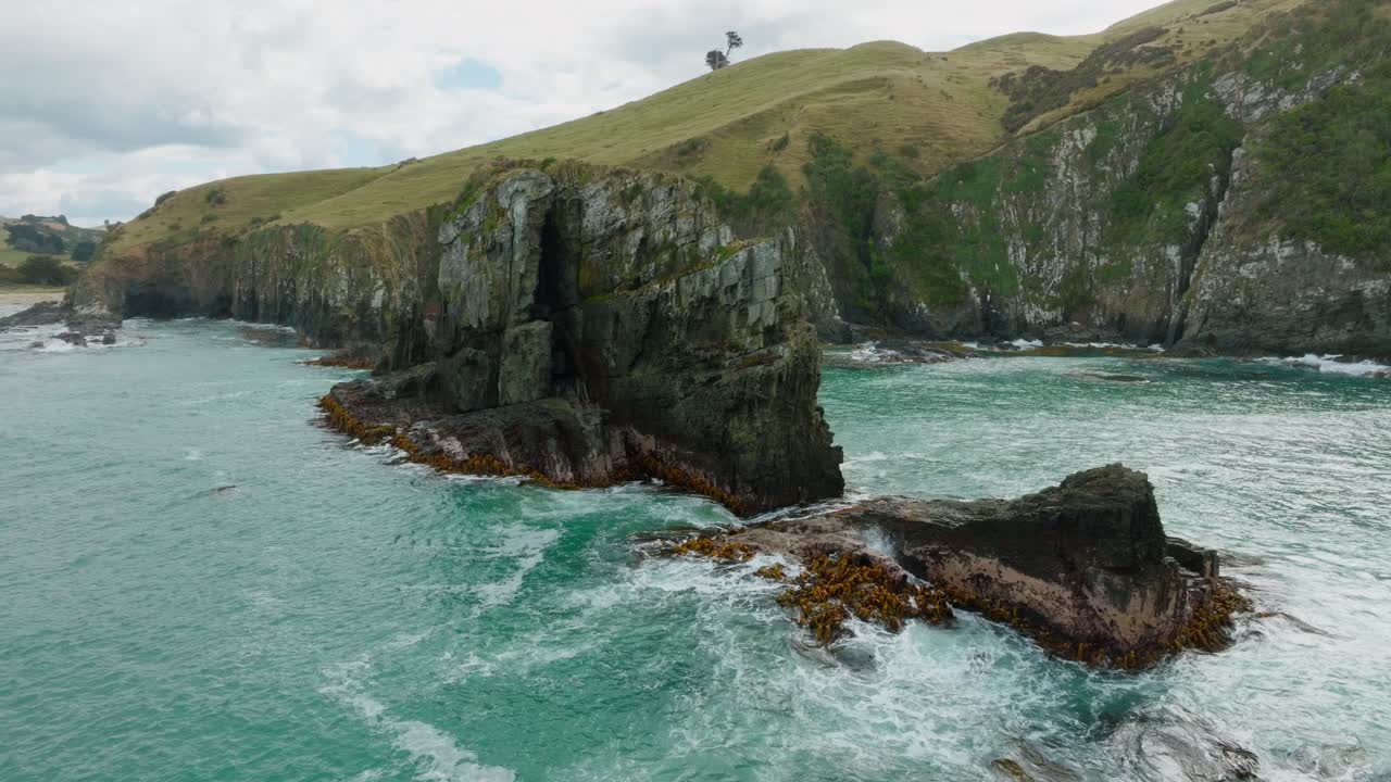 vista aérea de drones de algas marinas, alga cubierta, afloramiento rocoso y escarpada línea costera de acantilados con un océano áspero y salvaje de la bahía de caníbal en catlins, isla sur de nueva zelanda.