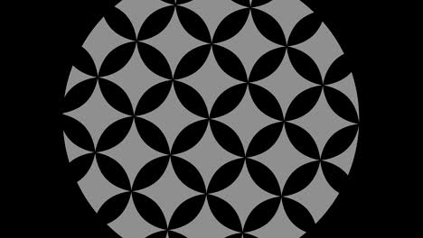 objeto gráfico en blanco y negro con efecto estroboscópico e hipnótico, que gira en el sentido de las agujas del reloj disminuyendo el tamaño de pantalla completa a desaparecer en el centro, en formato de video 16: 9