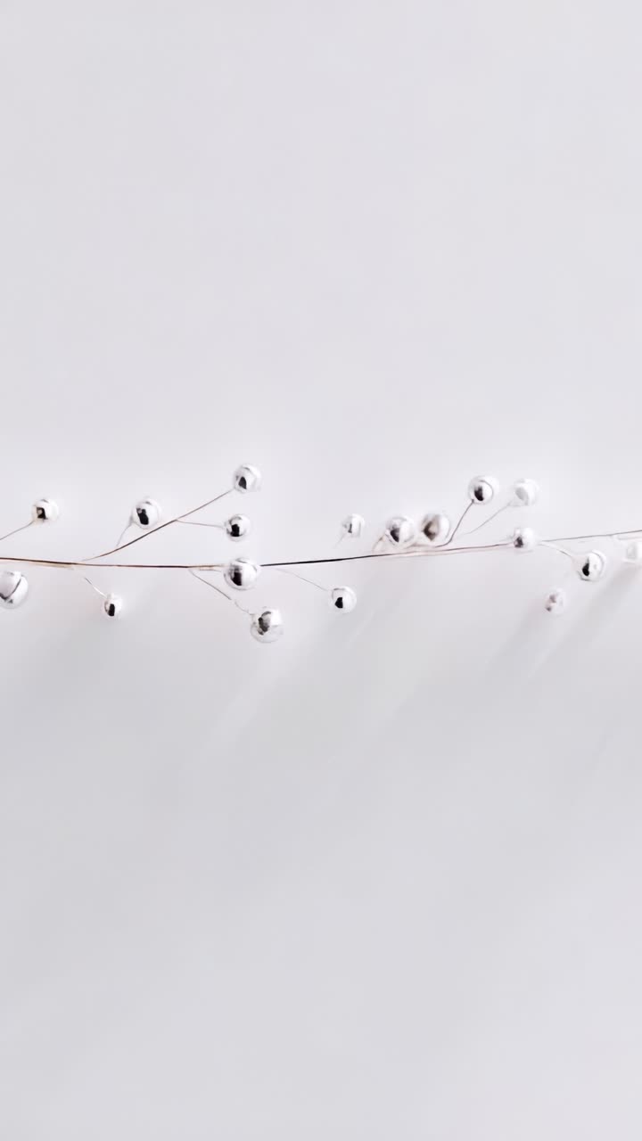 Rami minimalisti argentati ed eleganti con perline decorative su sfondo bianco pulito, perfetti per l’arredamento moderno e l’armonia visiva