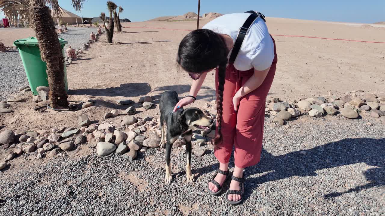 Persona acariciando a un perro en un entorno exterior seco y rocoso.