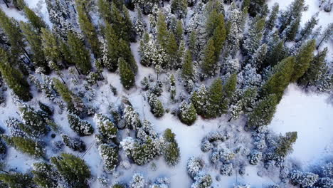 Drone-flying-over-snowy-forest