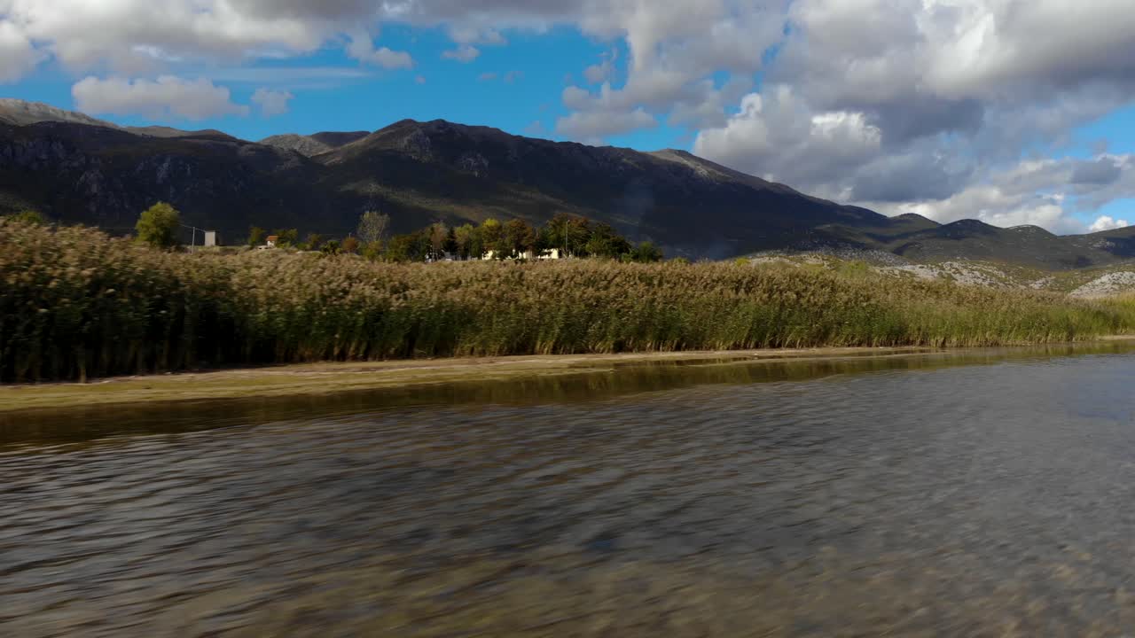 orilla del lago con juncos cerca de aguas poco profundas, hábitat natural de las aves en prespa, albania