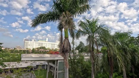 time-lapse of clouds over cityscape and lush foliage.