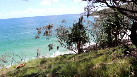 Vista-Costera-De-Un-Parque-Nacional-Y-El-Océano-Pacífico