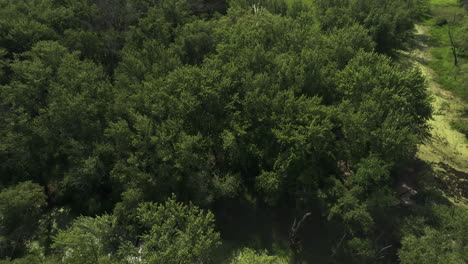 Magical-birdseye-shot-of-stunning-riparian-nature-near-Upper-Mississippi-River