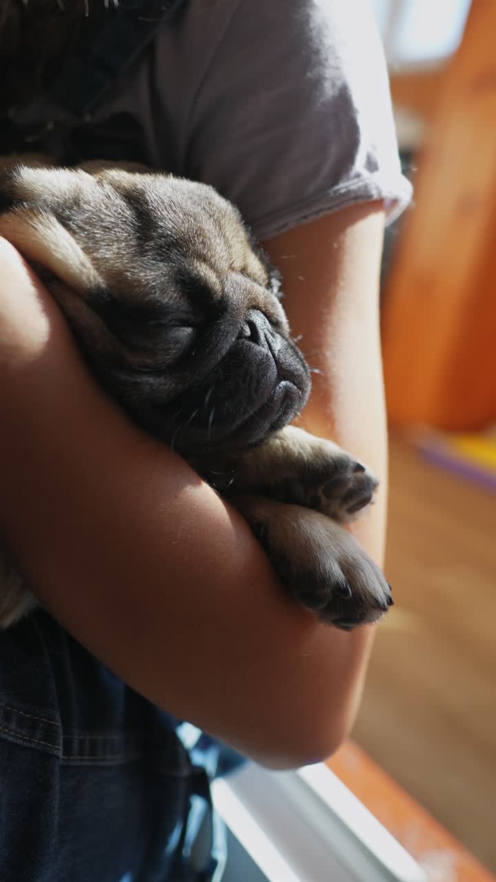 un cachorro durmiendo en los brazos