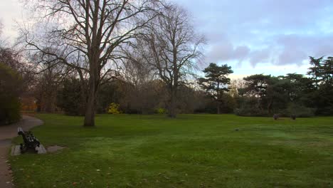 Shot of empty jogging path beside green grass with trees in Greenwich Park during dry autumn morning in London, UK afternoon time