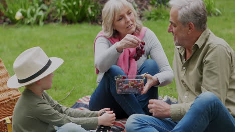 family picnic in the park