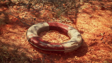 buya de anillo de vida en la playa del desierto