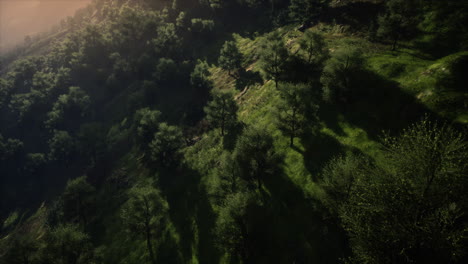 mañana de otoño con niebla en las montañas