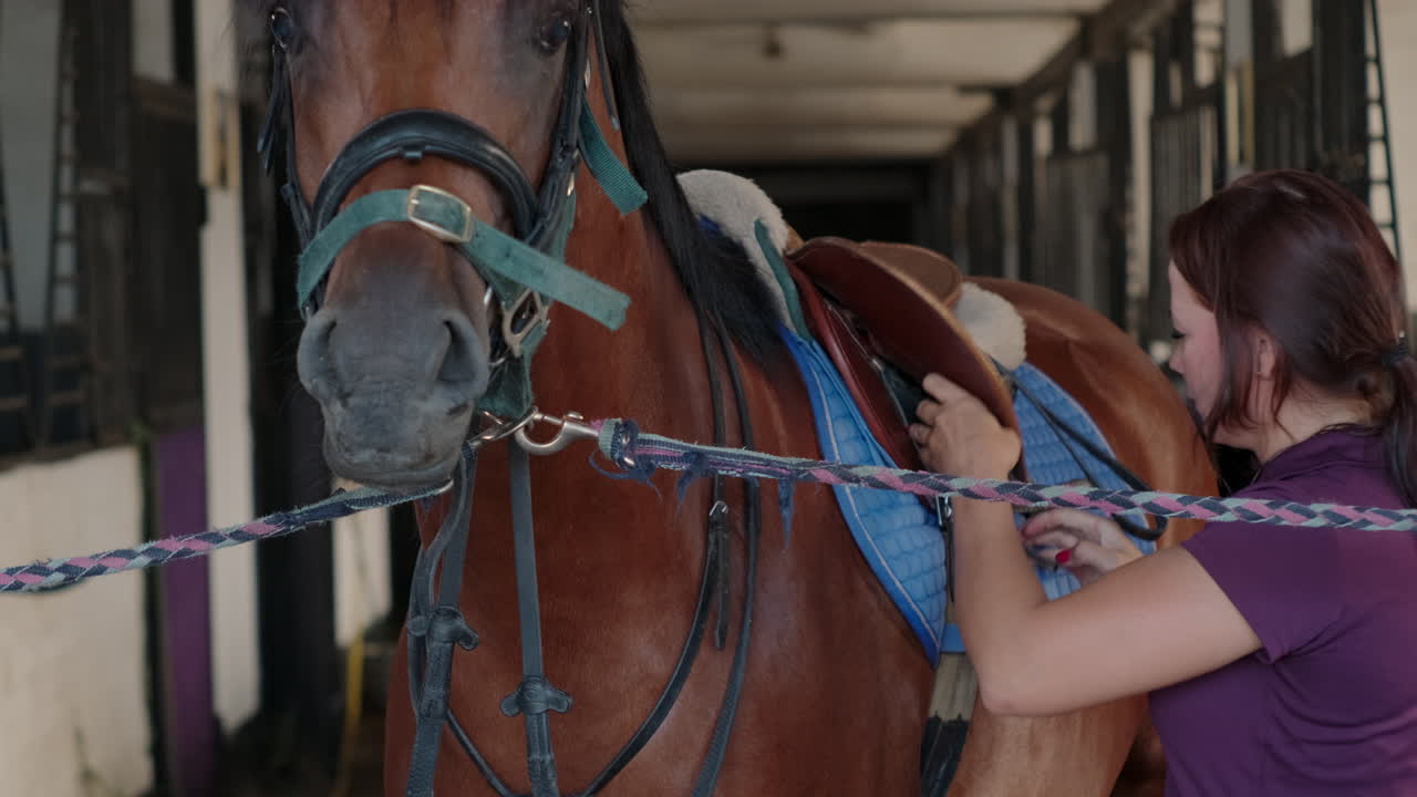 mujer preparando el caballo para montarlo