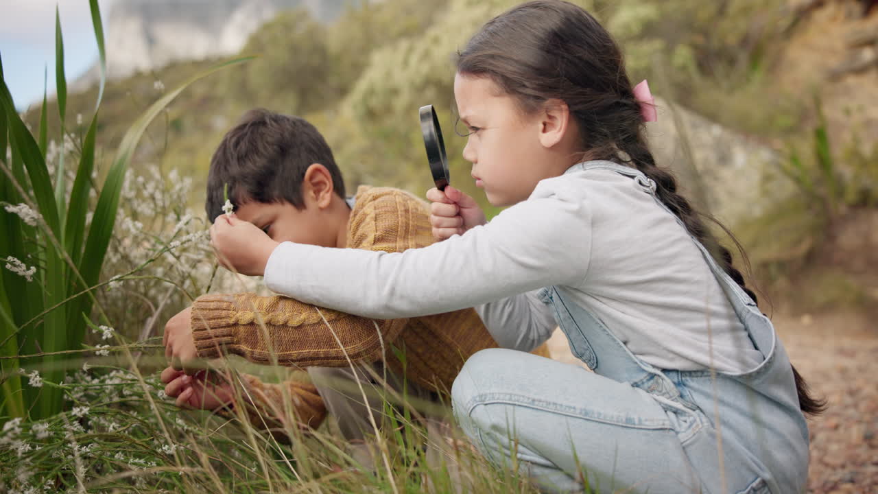 모험, 꽃, 아이들의 탐험