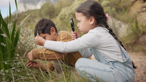 Adventure,-flowers-and-children-exploring