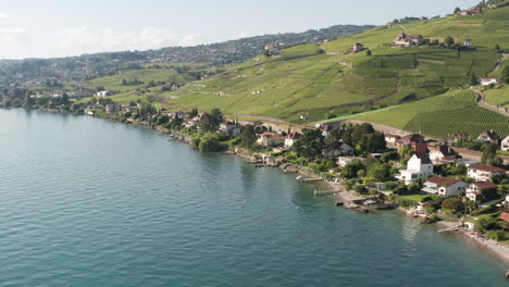 jib down of beautiful lakeside houses